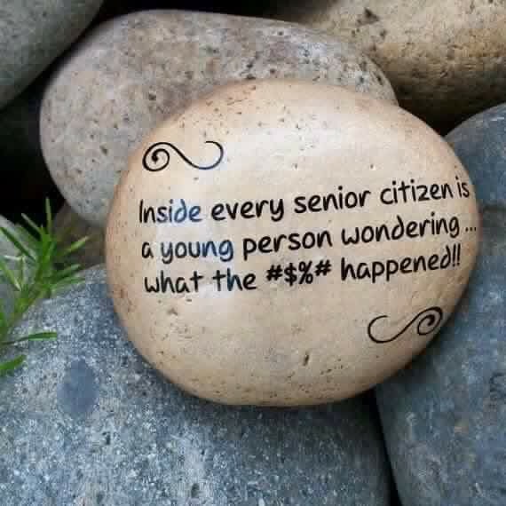 My Camino April 4&nbsp;2016